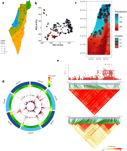 New study: “Haplotype blocks” help wild barley adapt more efficiently to climate change
