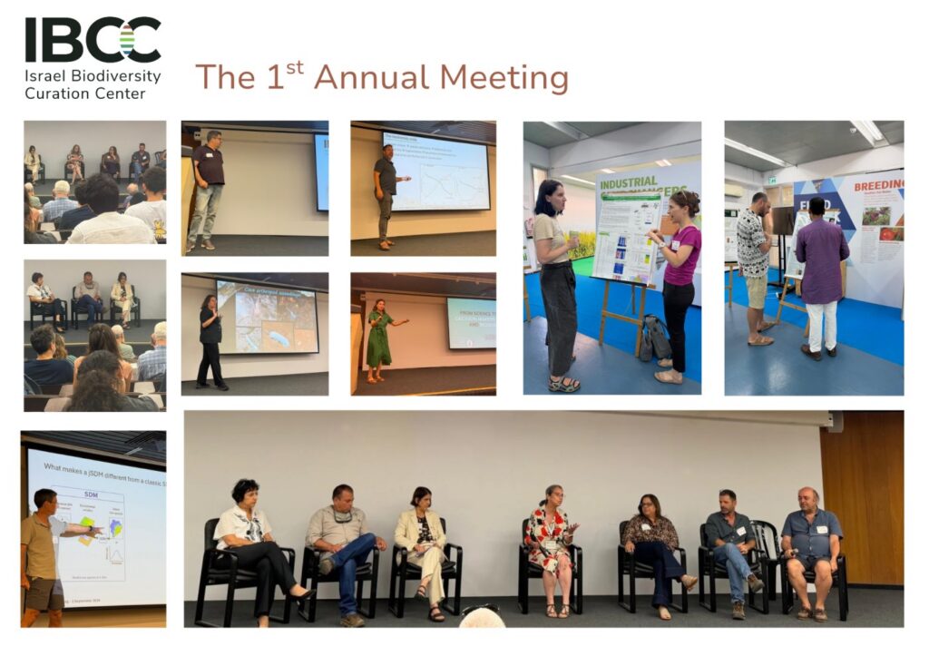 IBCC’s 1st Annual Meeting